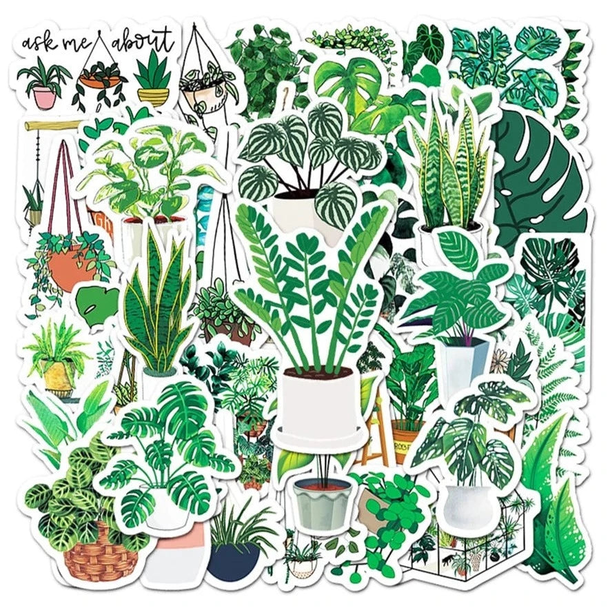 Ensemble d'autocollants de plantes différentes telles que des monstera, des sansvière, des pepperomia, des succulentes, etc.