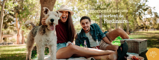 11 idées d'activités à faire au Québec